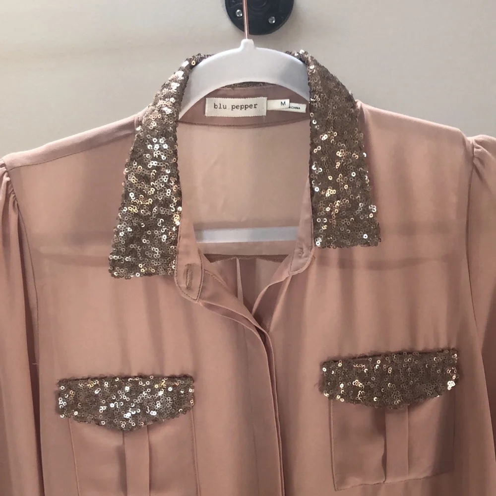 Blu Pepper Sheer Glitter Blouse - Picture 3 of 9